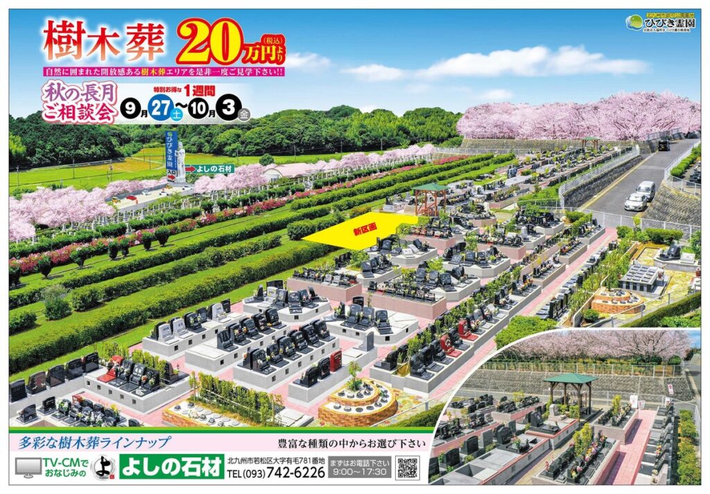 チラシ表